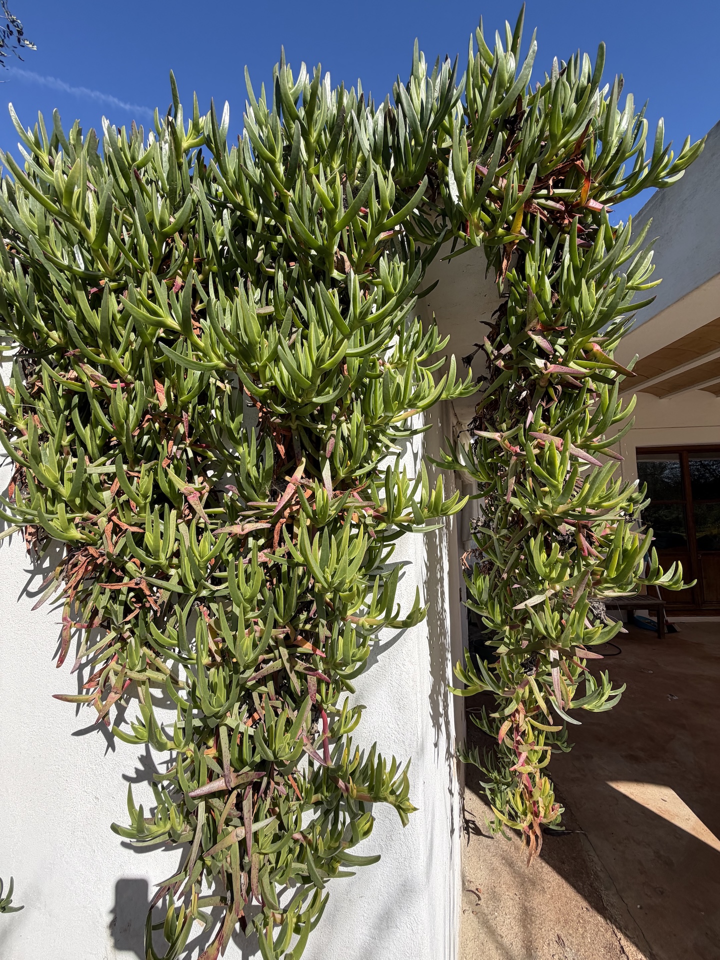 Resa Estates Finca san Miguel for sale offline 1.jpeg